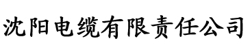 91香蕉视频软电缆厂logo